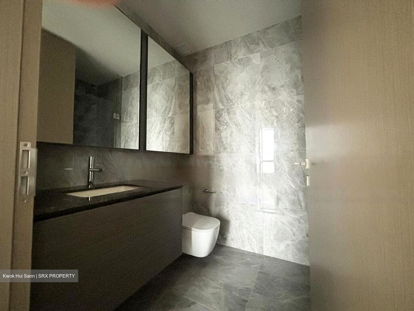 Leedon Green (D10), Condominium #447872601